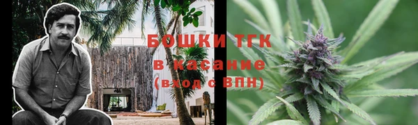 гашик Вязьма