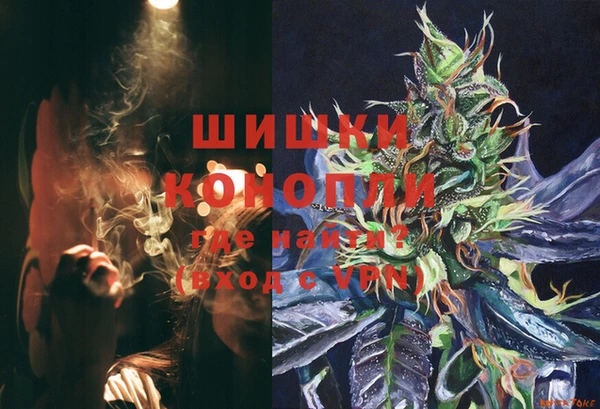 гашик Вязьма