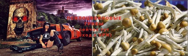 ALPHA PVP Вязники