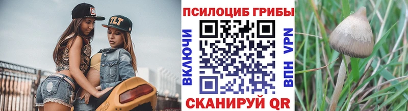 Псилоцибиновые грибы Psilocybe  KRAKEN онион  Казань 